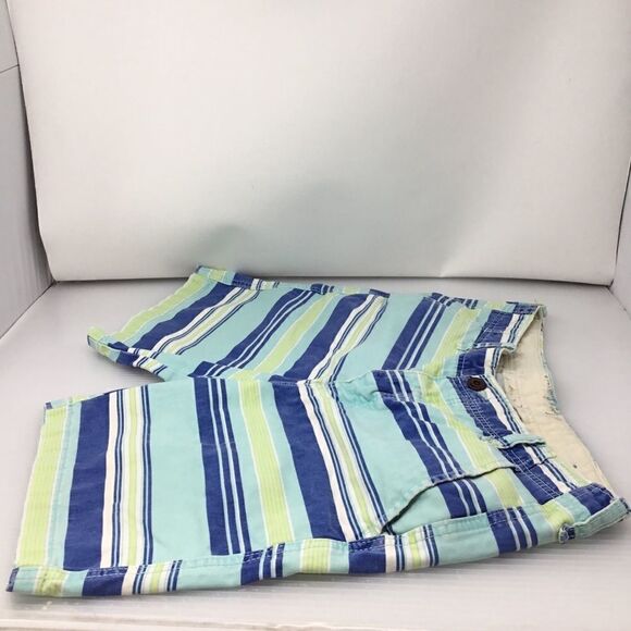 American Eagle Striped Button Fly Shorts (UC4) - Picture 2 of 8